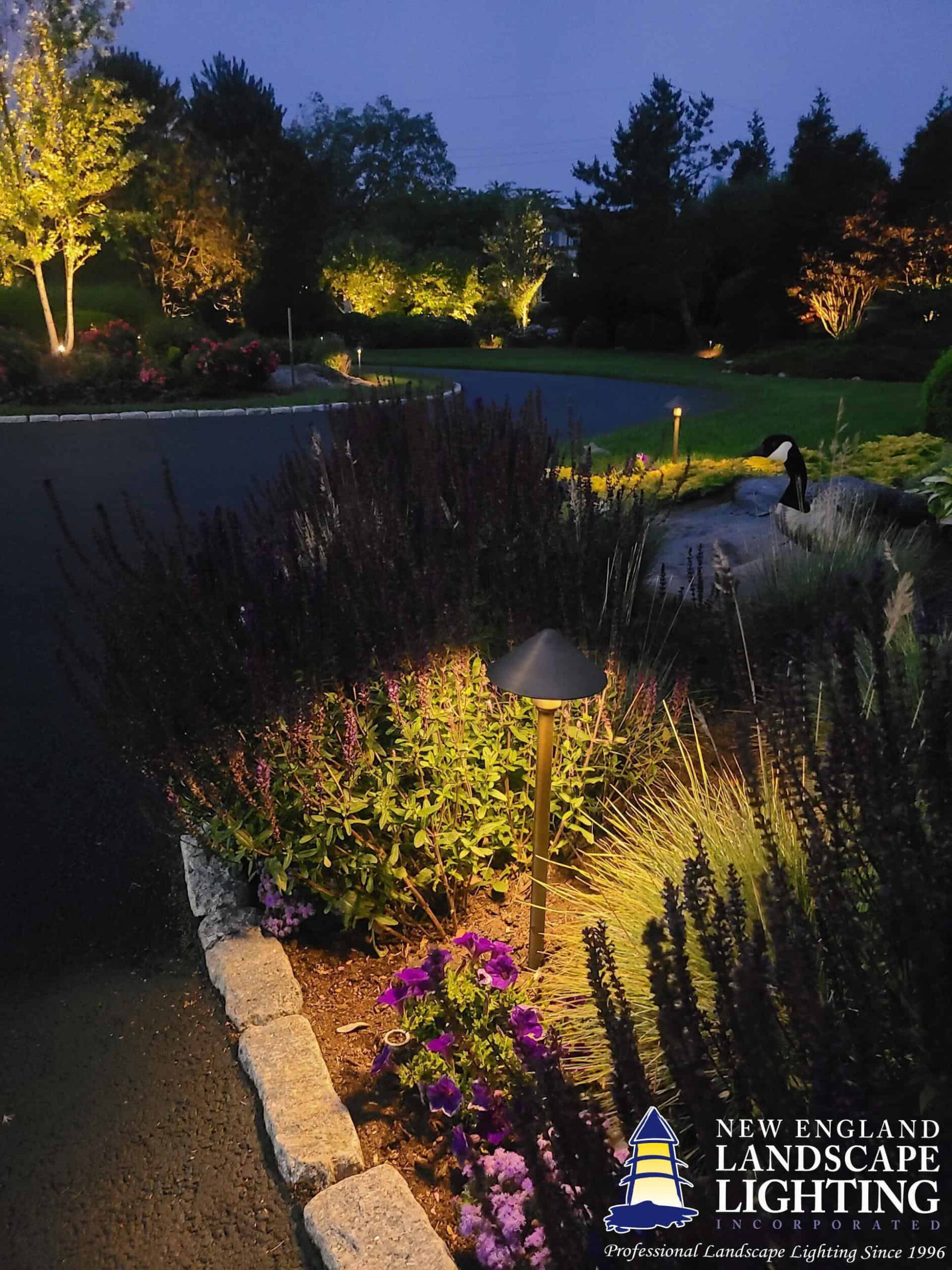 11 resized scaled scaled