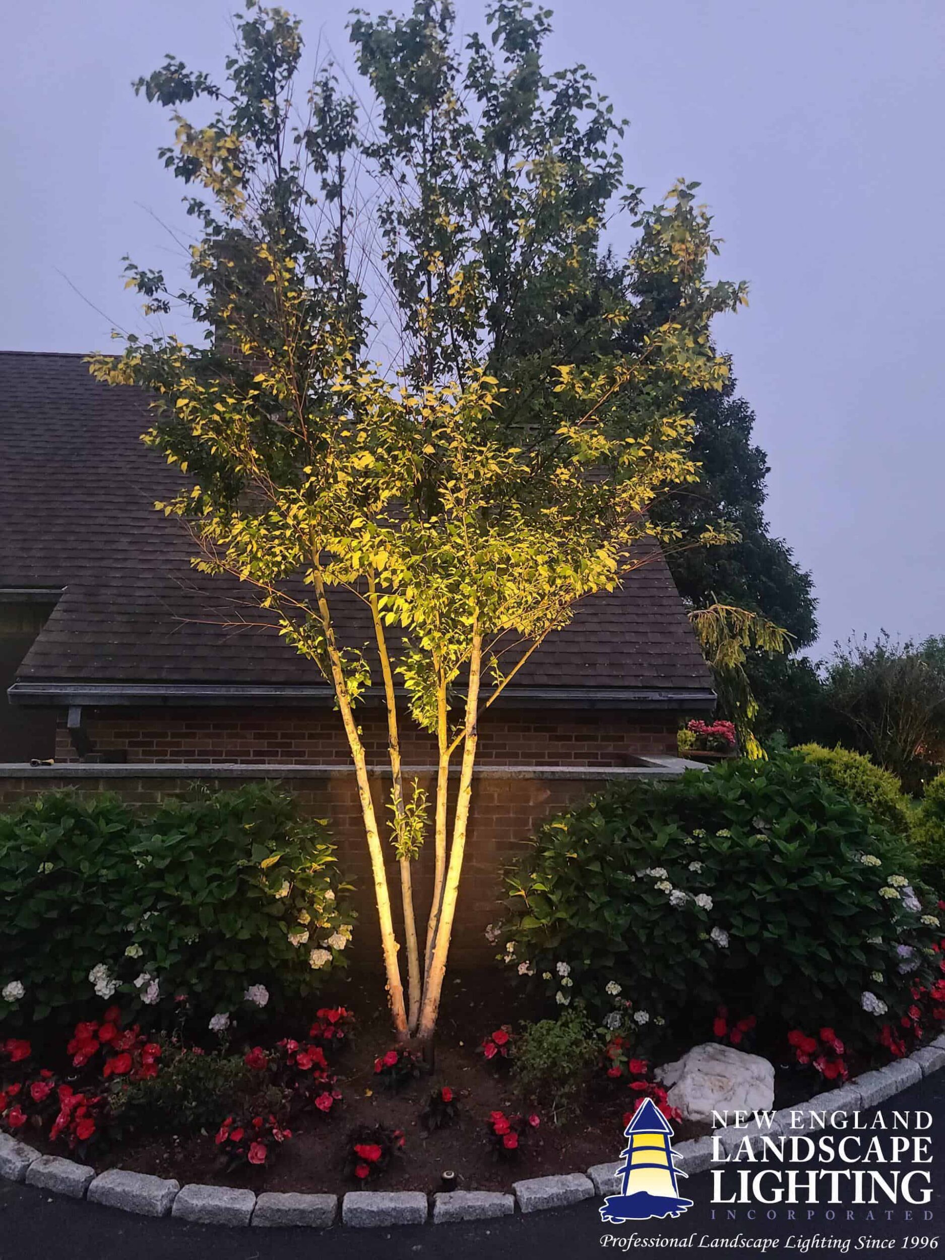 8 resized scaled scaled