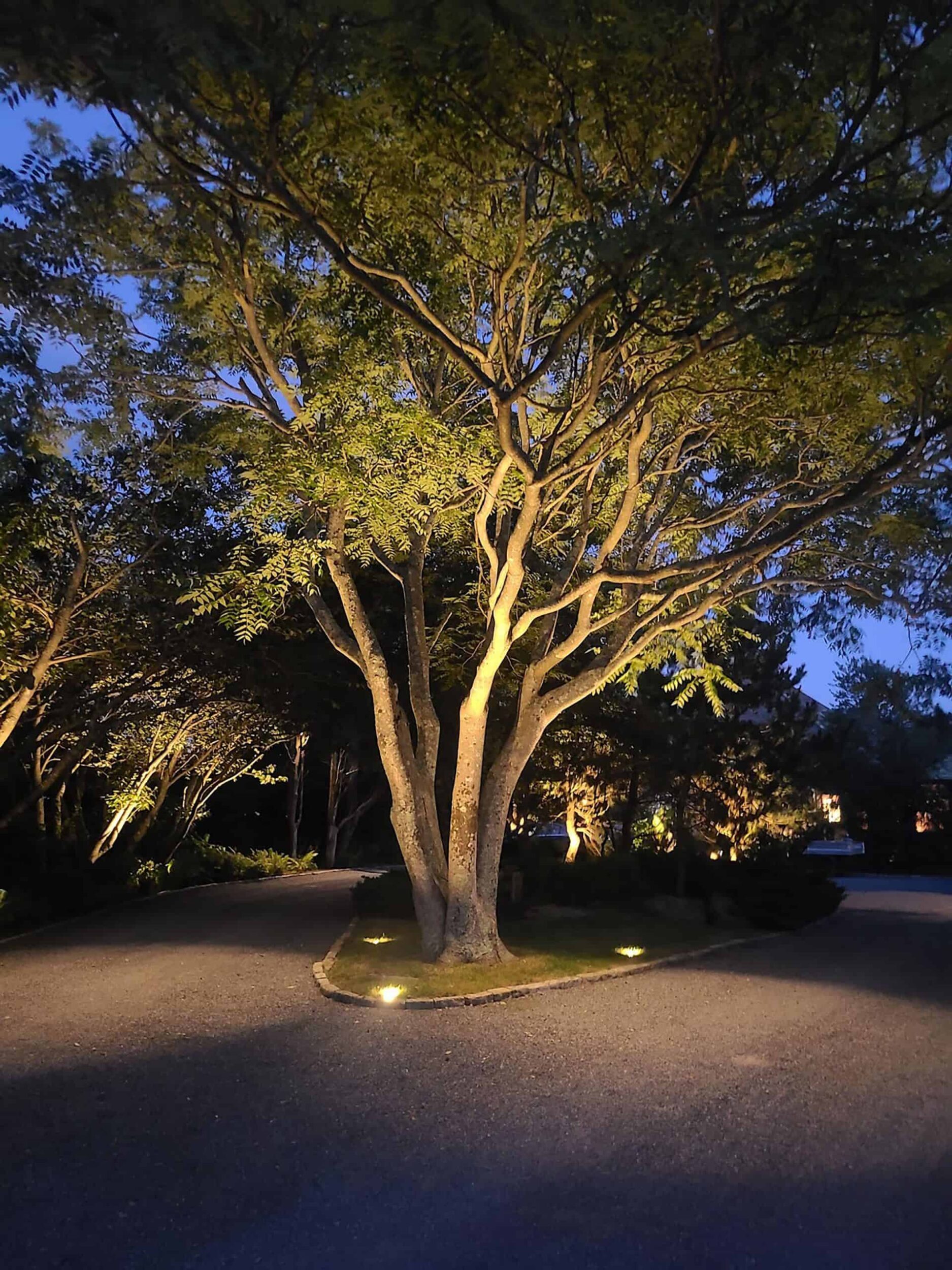 4 resized scaled scaled