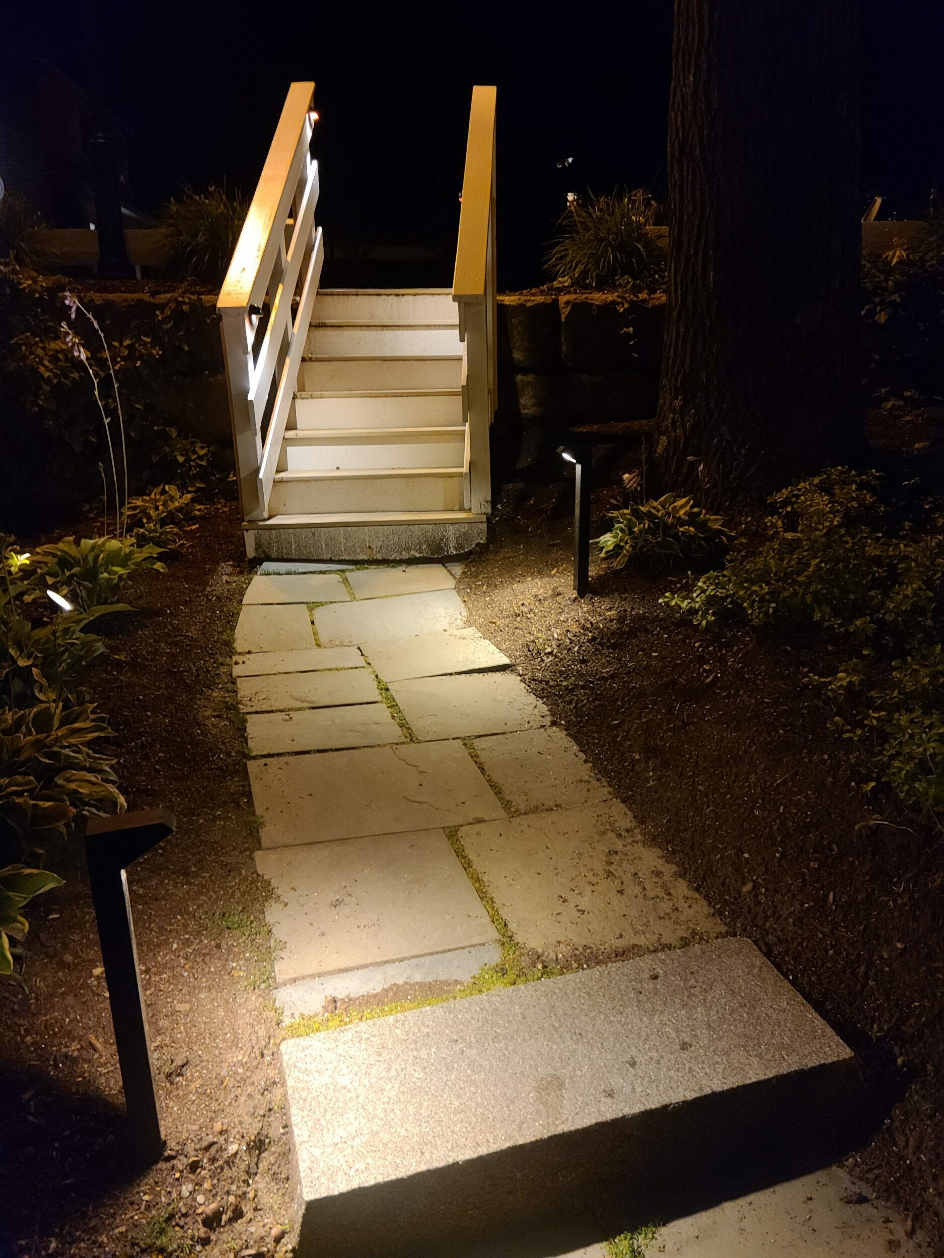 20210803 215400 e1631740502608