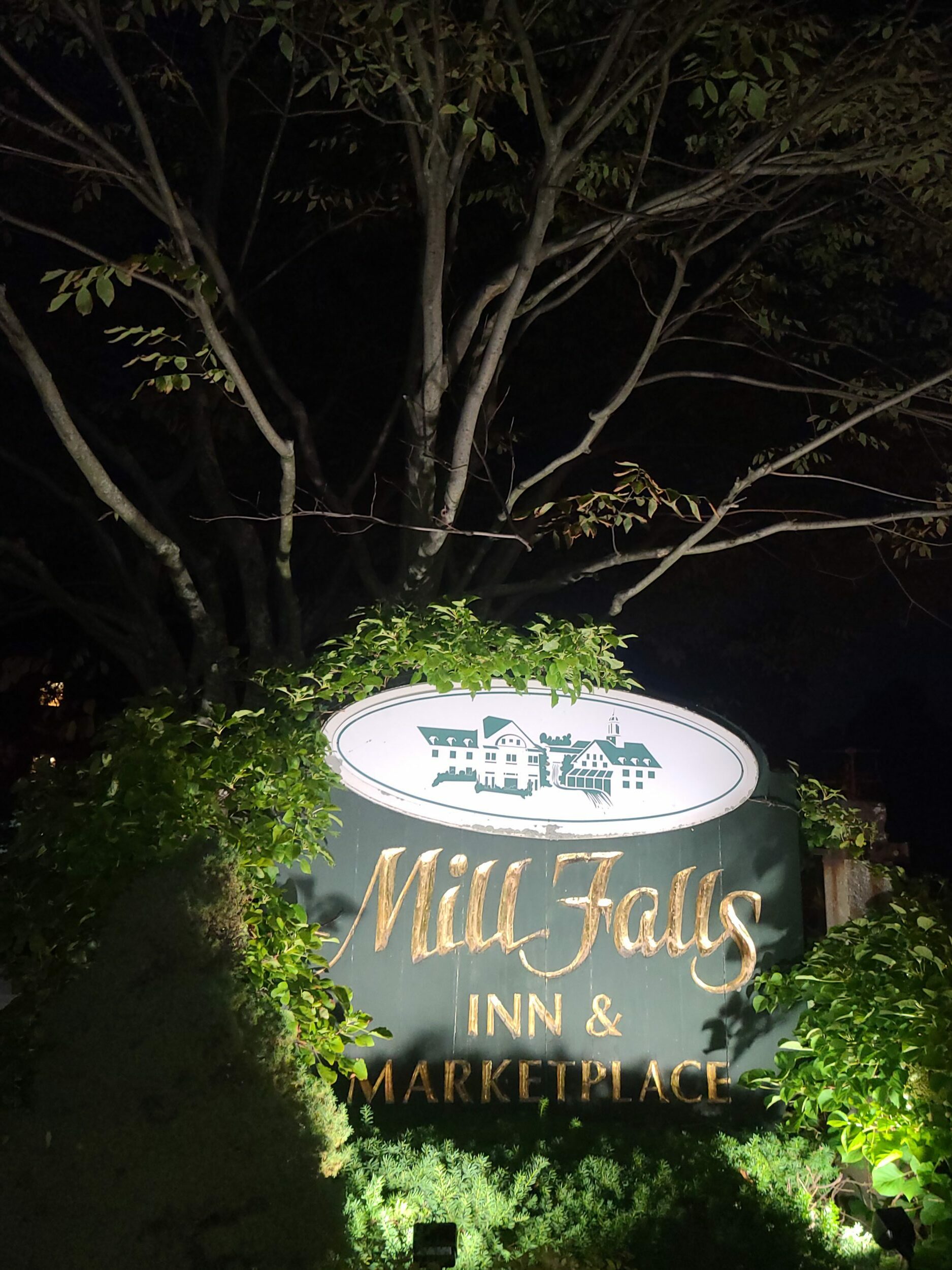 20210826 202028 e1631740426169