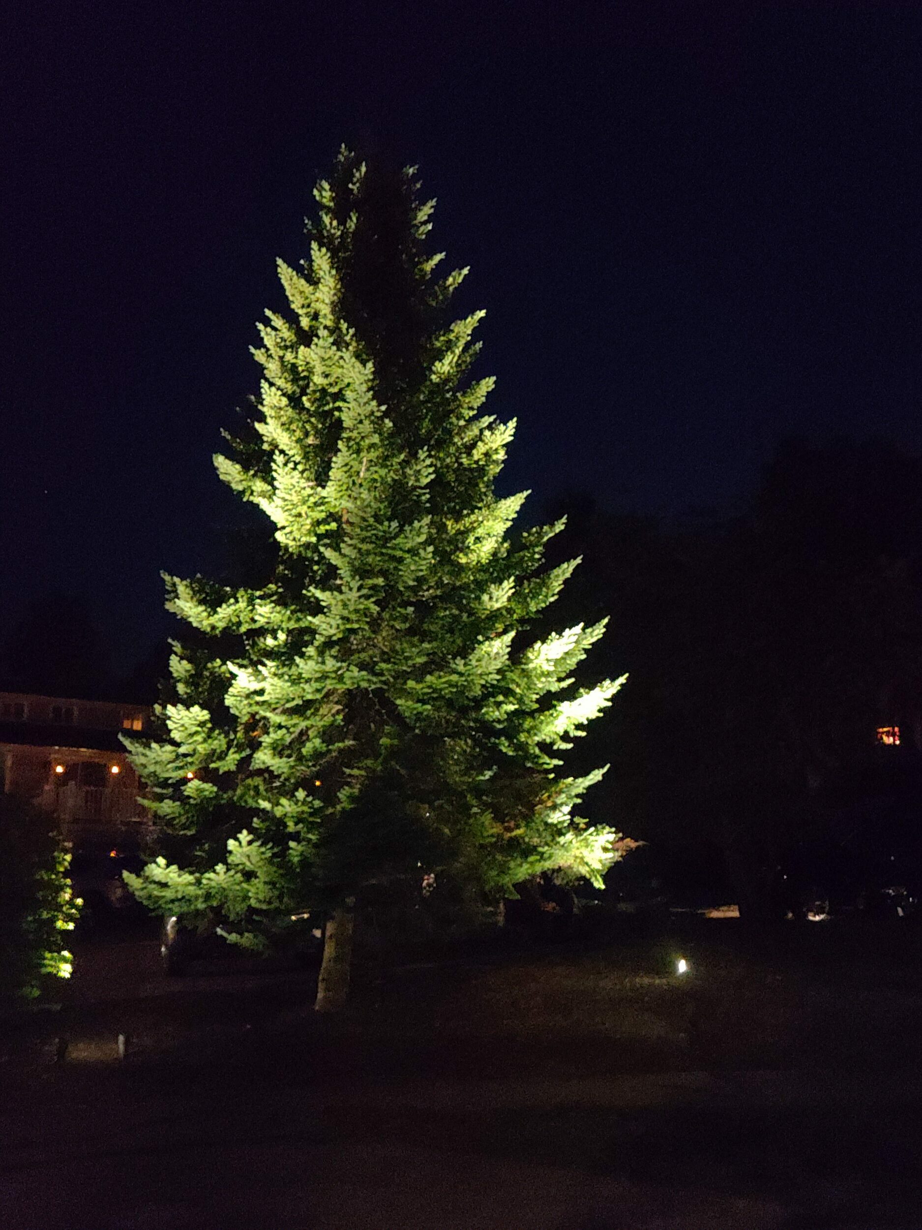 20210826 202433 e1631740414355